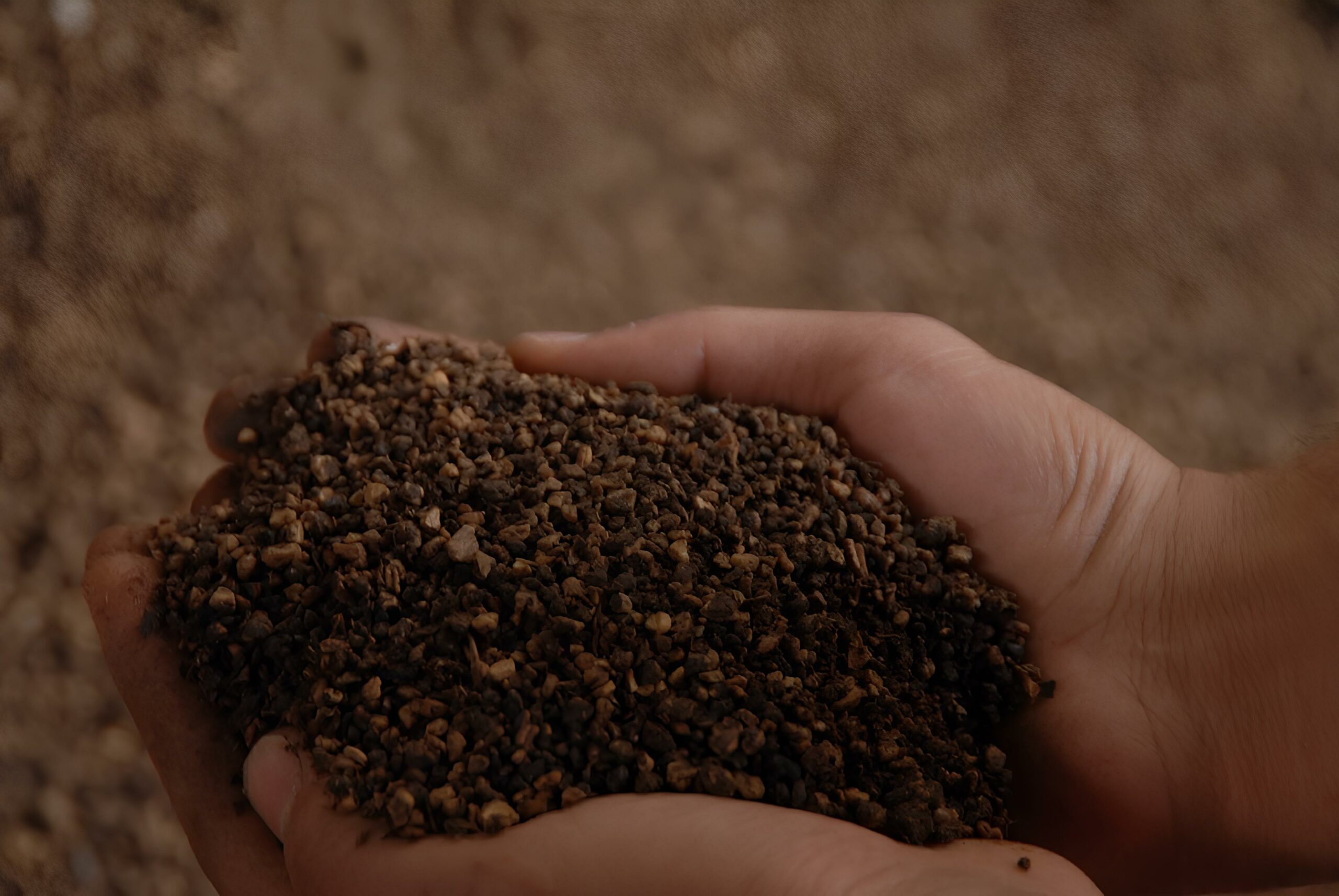 Vente grignons d'olive